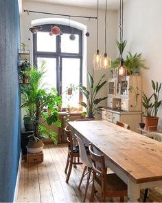 a dining room table surrounded by potted plants and hanging light bulbs over it's windows