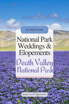 Embark on your dream wedding journey amidst the breathtaking landscapes of Death Valley National Park. Our comprehensive guide covers everything you need for a magical national park wedding or elopement, from securing permits to discovering the perfect venue. Say 'I do' surrounded by nature's grandeur with our expert tips. 🏞️🌲💍

Plus, Death Valley offers an outdoor venue with privacy - you don't find that at many national park wedding venues! National Park Wedding Venues, California Yosemite National Park, Yosemite California, Visit Yellowstone