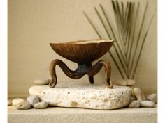 a bowl sitting on top of a rock next to a plant