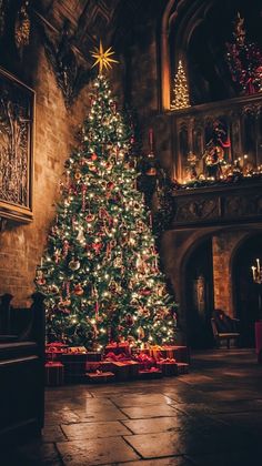 a large christmas tree is lit up in a church