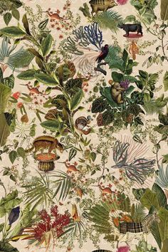 a wallpaper with many different types of plants and animals on the side of it