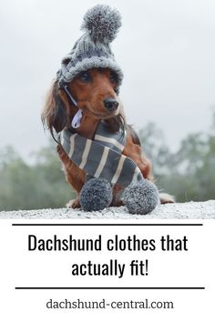 a dachshund wearing a scarf and hat with text overlay that reads, dachshund clothes that actually fit