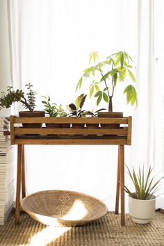 a wooden table topped with potted plants on top of a rug next to a window