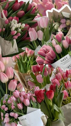 pink and white tulips are displayed in vases