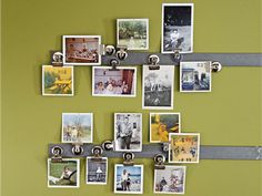 a bunch of pictures hanging on a wall with magnets attached to the pegs