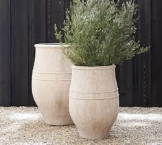 two cement vases with plants in them