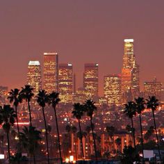 the city skyline is lit up at night, with palm trees in front of it