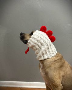 a dog wearing a knitted reindeer hat with red antlers on it's head