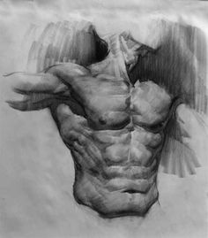 a drawing of the back of a man's torso