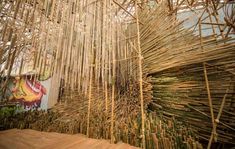 an art installation made out of bamboo sticks