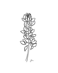 a black and white drawing of a flower