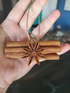 a hand holding an ornament made out of cinnamon sticks and star anisette