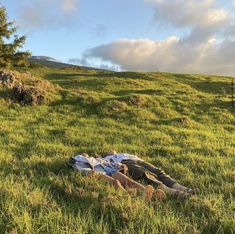 two people laying in the grass on top of a hill