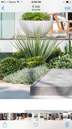 an image of a planter with plants in it