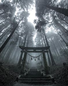 the stairs lead up to a shrine in the woods