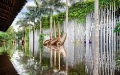 an art installation in the water surrounded by palm trees