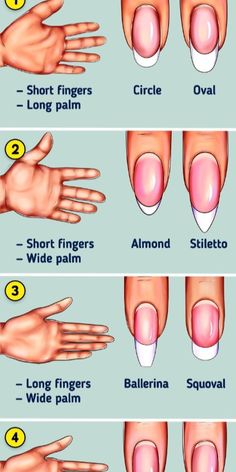 Perfect Nail Shape For Your Hands, Nails Shapes For Hand Types, Nail Shape Diagram, Different Natural Nail Shapes, Gel X Nails Oval Short, Classy Nail Ideas Natural, Diff Nail Shapes, Nail Styles For Wide Nail Beds, Simple Oval Nail Ideas