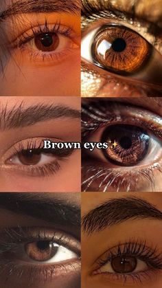 Bright Brown Eyes, Types Of Brown Eyes, Eyes Color