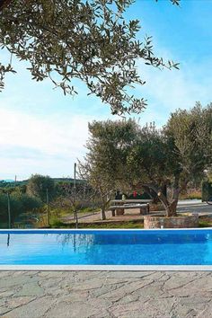 an empty swimming pool surrounded by trees