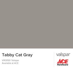 Tabby Cat Gray from Valspar Valspar Green, Valspar Paint Colors, Valspar Paint, Blue Thunder, Room Wall Colors, Cottage Door, Perfect Paint Color, Purple Sunset, Kitchen Paint Colors