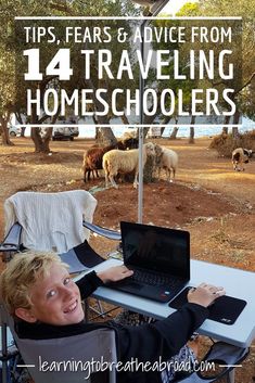 a woman sitting at a table with a laptop in front of her and sheep behind her