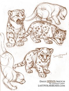 three different types of leopards are shown in this drawing