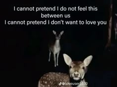 two deer standing next to each other on a dark background with the caption i cannot pretend i do not feel this between us