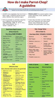 how do i make parrott - chopp? poster with instructions for the recipe