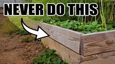 a wooden planter filled with lots of green plants