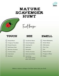 the nature scavenger hunt is shown in green and white with ladybugs on it