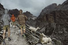 three people walking up a mountain with goats