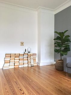 a living room filled with furniture and a plant on top of a hard wood floor