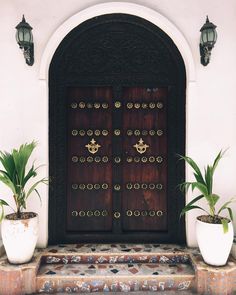 two potted plants sit in front of a wooden door with ornate carvings on it