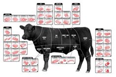 Beef Cuts Of Meat Butcher Chart 8x10 photo - Fame Collectibles Raising Turkeys, Food Beef, Happy Cow, Lunch Food, Angus Beef