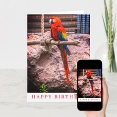 a person holding up a card with an image of a parrot sitting on a tree branch