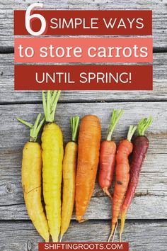 carrots with the title six simple ways to store carrots until spring