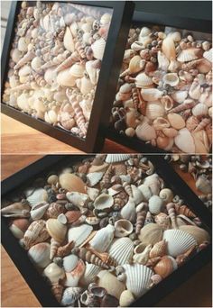 there are two pictures with shells in them