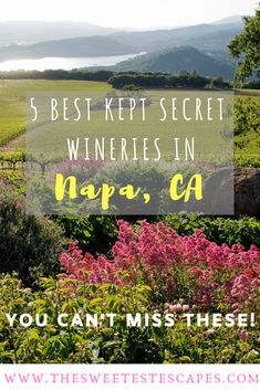 the words 5 best kept secret wines in napa, ca you can't miss these