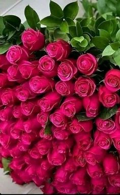 a large bouquet of red roses with green leaves