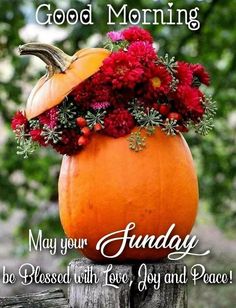 a pumpkin with flowers in it sitting on top of a wooden fence post that says good morning