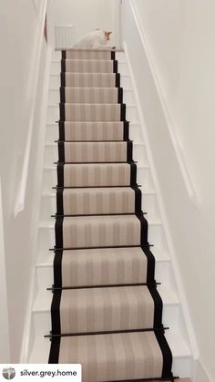 the stairs are lined with black and white carpet