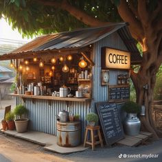 an outdoor coffee shop with potted plants and lights on the outside, next to a tree