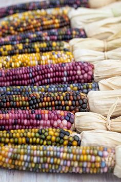 corn on the cob is laid out and ready to be cooked