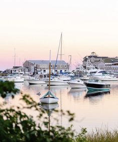 many boats are docked in the water near houses and buildings at sunset or sunrise time