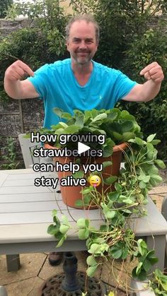 a man sitting at a table with plants in front of him and the caption reads, how growing strawberries can help you stay alive