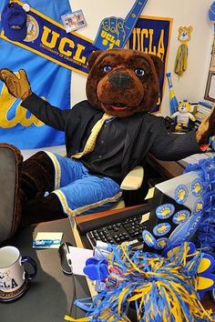 there is a stuffed bear sitting in a chair with the words ucla volunteer center on it