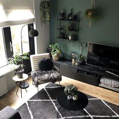 a living room filled with furniture and lots of plants on top of the shelves in front of a flat screen tv