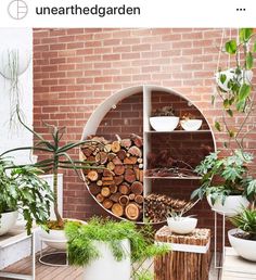 there are many potted plants on the shelves in front of this brick wall,