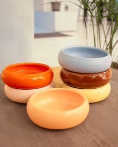 three bowls sitting on top of a table next to a potted green plant in the background