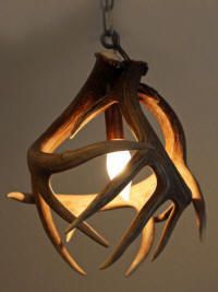 a deer antler lamp hanging from a chain with a light bulb in the middle